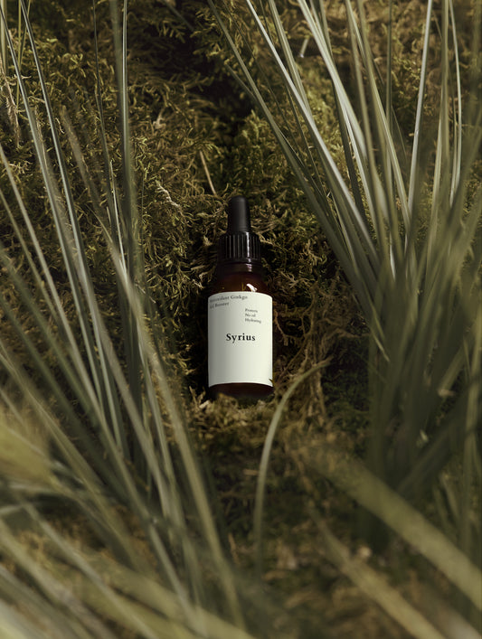 Ginkgo Antioxidant Booster - Urban Skin Shield