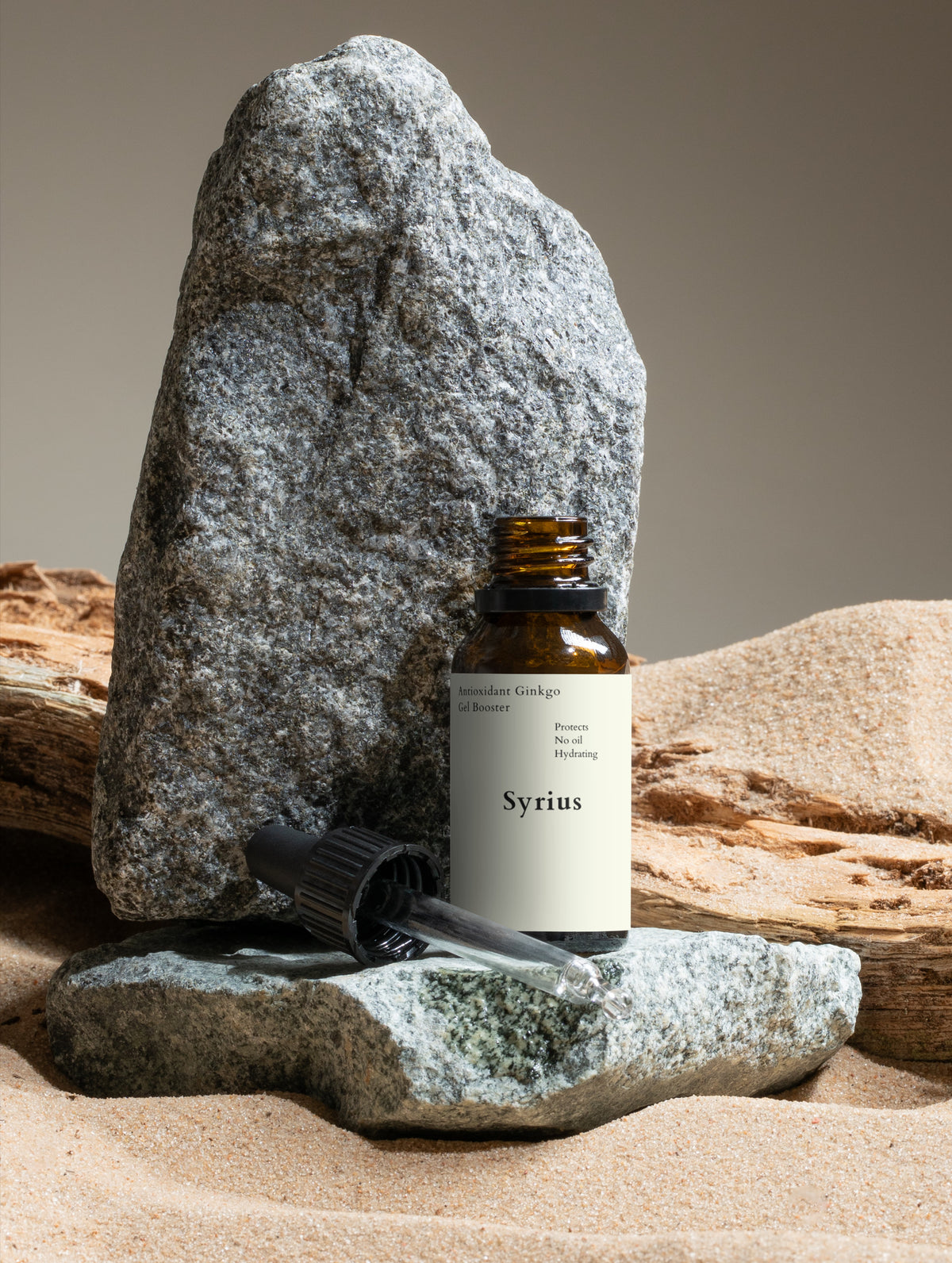 Ginkgo Antioxidant Booster - Urban Skin Shield