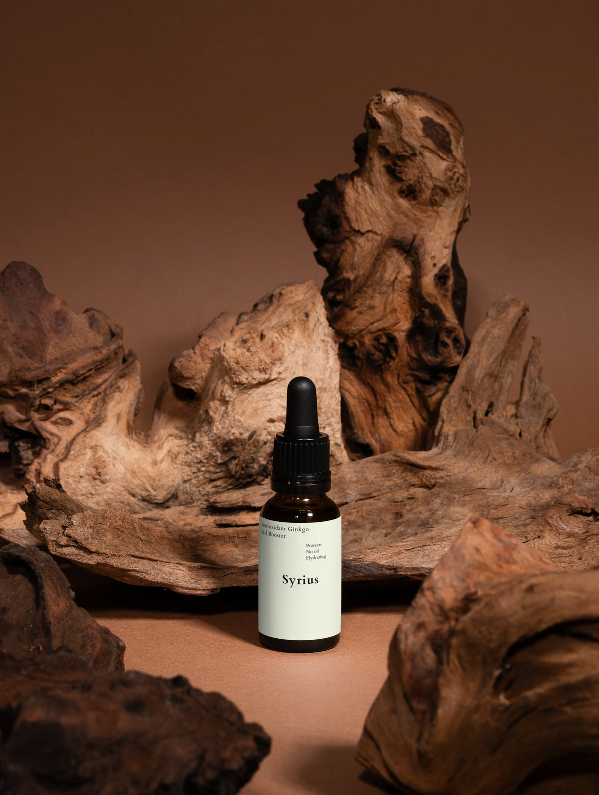 Ginkgo Antioxidant Booster - Urban Skin Shield