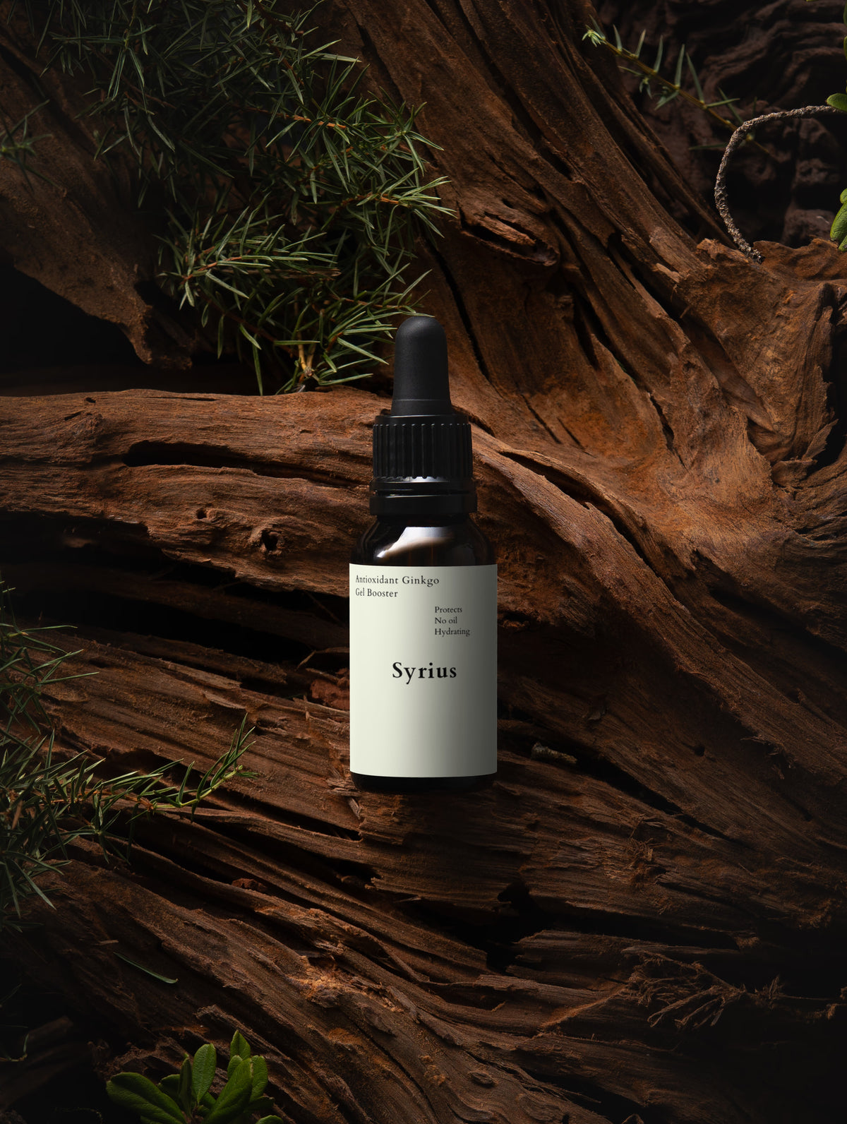 Ginkgo Antioxidant Booster - Urban Skin Shield