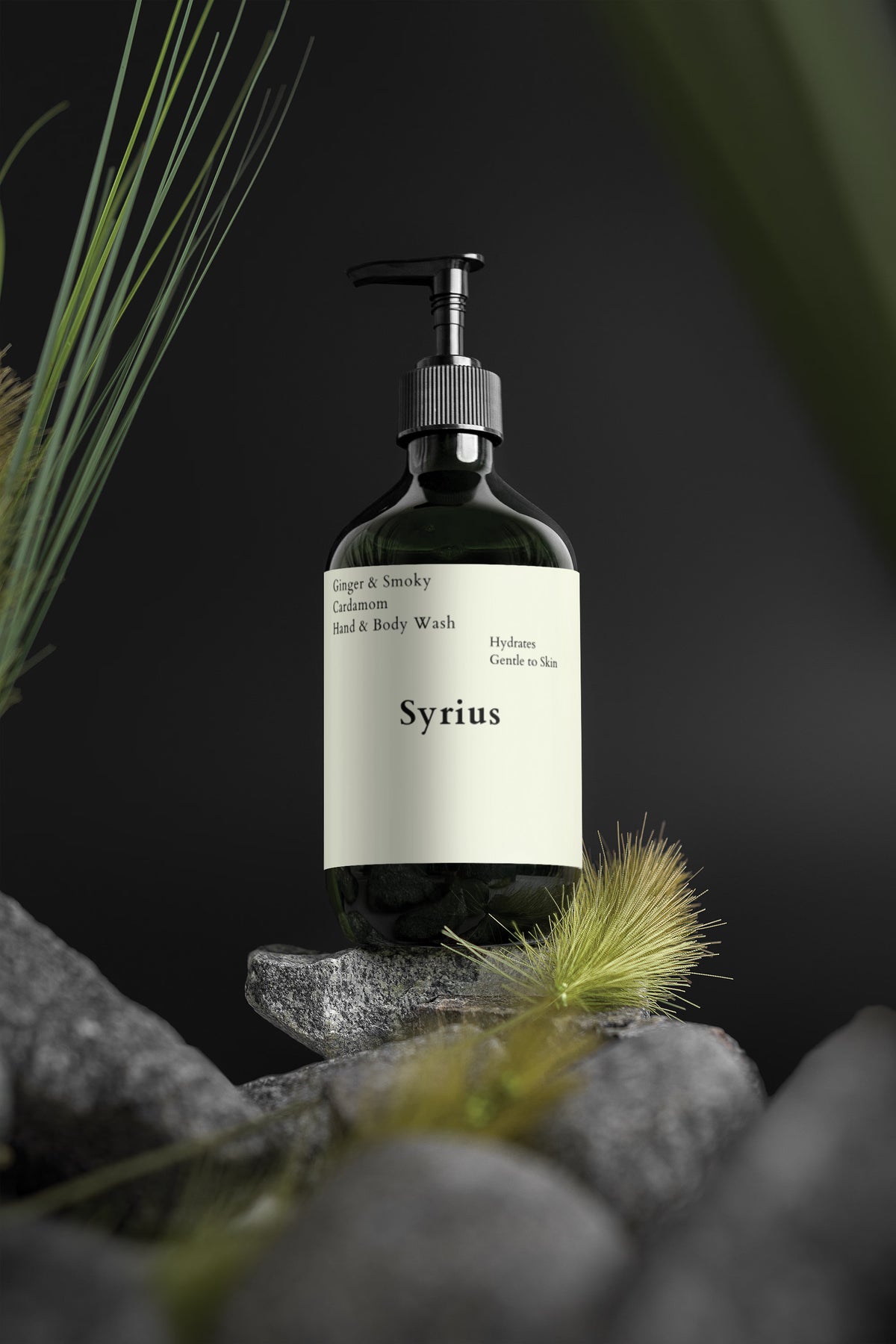 Ginger & Cardamom Body Wash - Daily Hydrating Cleanser